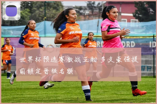 世界杯预选赛激战正酣 多支豪强提前锁定晋级名额