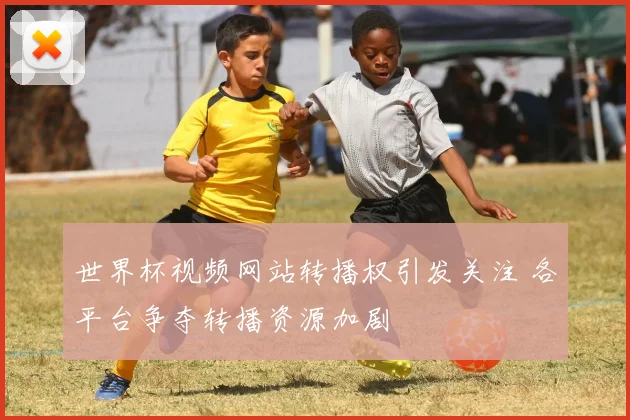 世界杯视频网站转播权引发关注 各平台争夺转播资源加剧