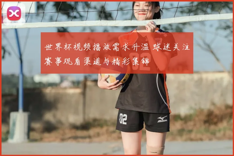 世界杯视频播放需求升温 球迷关注赛事观看渠道与精彩集锦